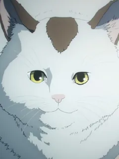 Няко