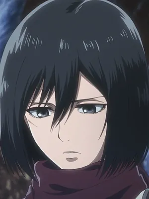 Микаса Аккерман